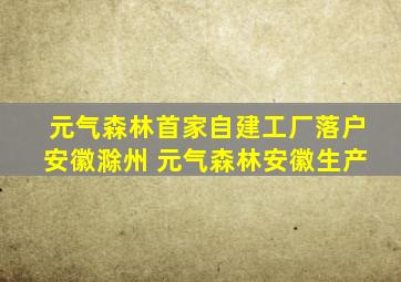 元气森林首家自建工厂落户安徽滁州 元气森林安徽生产